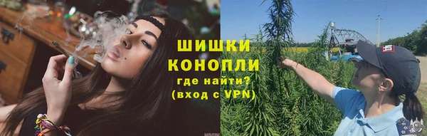 шишки Богородицк